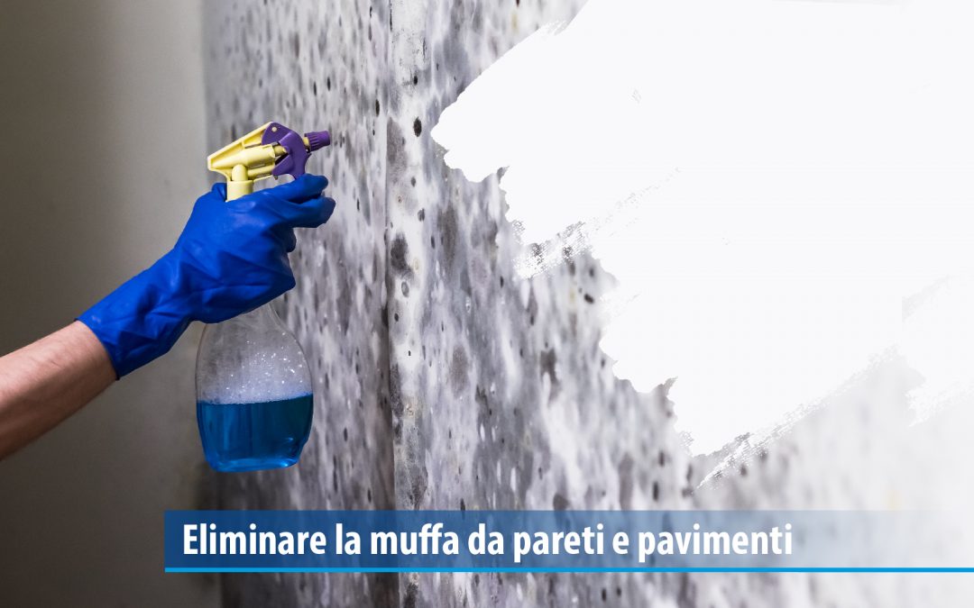 Eliminare la muffa